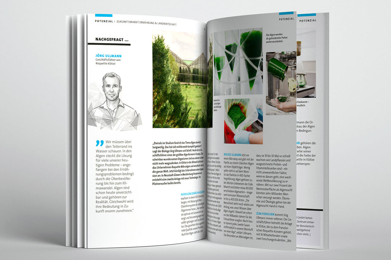 Impulsmagazin "Hier und Jetzt" - Textbüro Wortschatz: Text, Bildrecherche